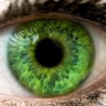 Profile picture of hazeleyes